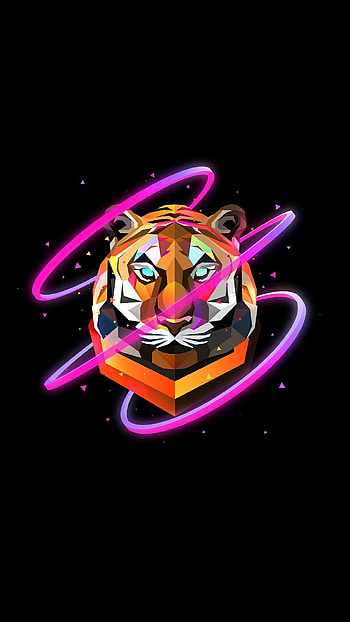 Tiger, Justin Maller HD phone wallpaper