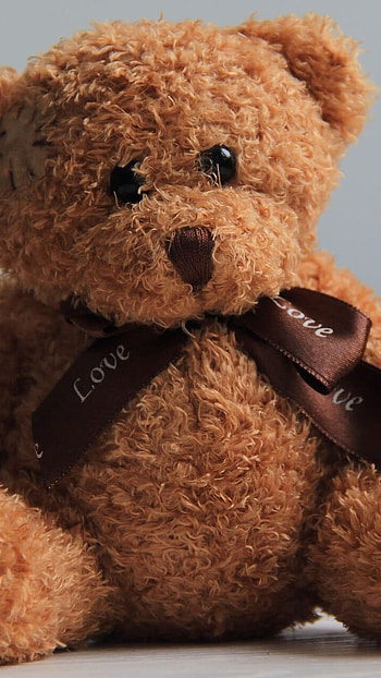Teddy Bear Wale, Brown Teddy Bear HD phone wallpaper