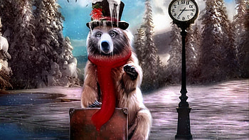 waiting for the bus, cold, funny, bear, snow HD wallpaper