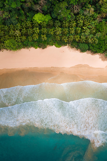 Nature, Waves, Beach, Palms, Coast HD phone wallpaper