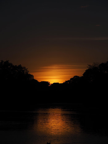 Trees, Sunset, Sky, Lake, Dark HD phone wallpaper