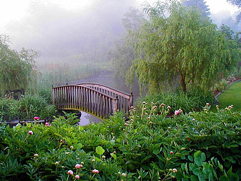 Across the River and Beyond, mist, river, peonies, weeping willow, garden, bridge HD wallpaper