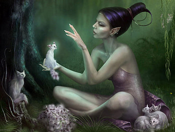 fantasy , other, anime HD wallpaper