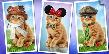 Kittens, kitten, animal, cute, cat, pisica, fantasy, luminos, hat, bow HD wallpaper