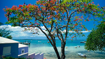 Bahamas getaway, Tropical paradise, Exotic destination, 293594 HD wallpaper