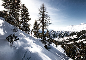 Nature, Mountains, Snow, Traces, Skier HD wallpaper