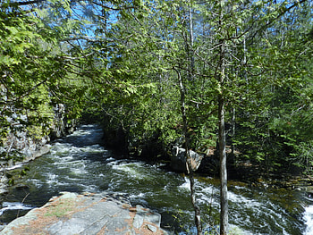 River At The Gorge, Gut Gorge, graphy, Rocks, Trees, Nature, River HD wallpaper