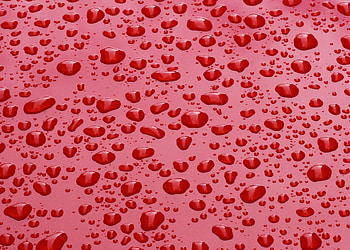Water, Drops, Macro, Surface HD wallpaper