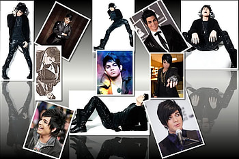 adam lambert :), lol HD wallpaper
