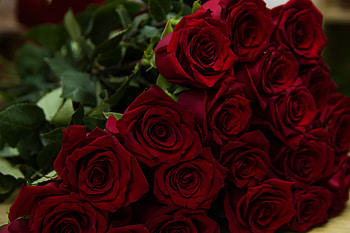 Flowers, Roses, Bouquet HD wallpaper