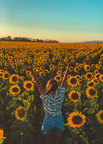 Sunny day, sunflowers, farm, woman HD phone wallpaper