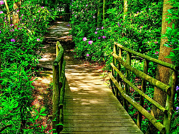 garden bridge, trees, garden, flowers, wooden bridge HD wallpaper