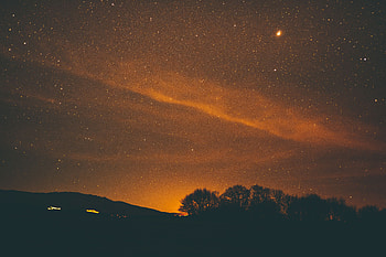 Nature, Trees, Stars, Night, Starry Sky HD wallpaper