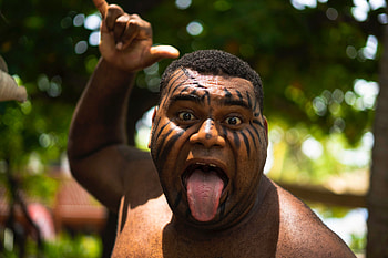 Facing the Haka, Courageous response, New Zealand adventure, Cultural immersion HD wallpaper