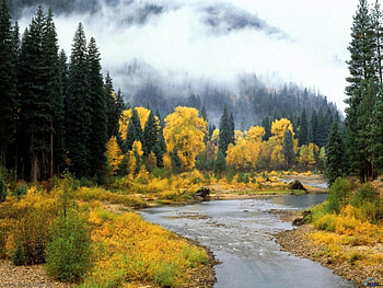 Nature Beauty , nature, hills HD wallpaper