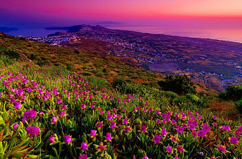 Sunset wildflowers, slope, meadow, beautiful, mountain, summer, wildflowers, purple, valley, sky, amazing, sunset HD wallpaper