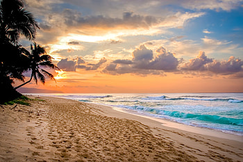 Sunset, palm tree, Summer, Paradise, Sea, Beach, Fantastic HD wallpaper