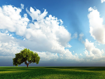 Landscape, Nature, Fields, Sky HD wallpaper