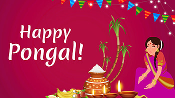 Happy Pongal Dark Pink Background Pongal HD wallpaper