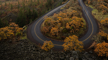 Aerial View Of Road Turns Curve Yellow Green Leaves Trees Forest Nature HD wallpaper