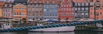 Danish travels, Champion in food waste, Reduction, Sustainable practices HD wallpaper