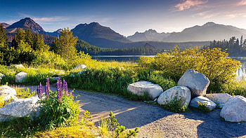 Lake in the Tatras mountains, Slovakia, stones, clouds, landscape, trees, sky, rocks, mountains HD wallpaper