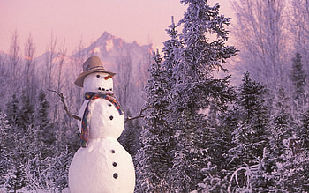 Snowman, winter, white, snow, cool, nature HD wallpaper
