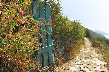 An open door, open, graphy, place, path, beautiful, silence, background, door, abstract, flowers HD wallpaper