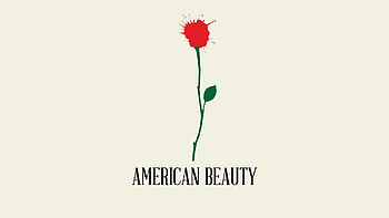 American Beauty, Dysfunctional family, Dark comedy-drama, Scathing social commentary HD wallpaper