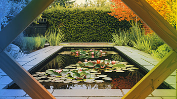 Serene Garden Pond - Ultra, garden pond, garden, pond, water lily, Landscaping HD wallpaper