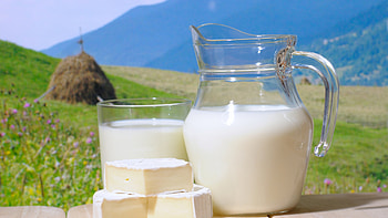 Creamy milkiness, Refreshing drink, Milky goodness, Delicious beverage HD wallpaper