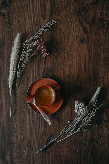 Flowers, Food, Cones, Coffee, Cup, Spikelets HD phone wallpaper