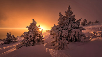 Winter Sunset, Winter, Nature, Sunset, Tree HD wallpaper