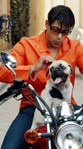 Mujhse shaadi karogi, bollywood movie, salman khan HD phone wallpaper