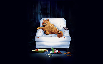 Garfield, Cat movies, , Funny feline HD wallpaper