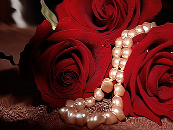 Gifts of love, white, roses, red, pearls, beautiful, passion, lace, jewelry HD wallpaper