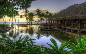 relaxing nature and mac HD wallpaper