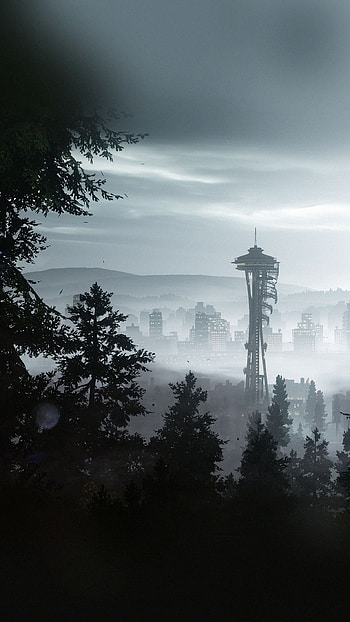 Seattle forest city view, Washington State travels HD phone wallpaper