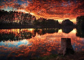 Coral twilight, trees, lake, reflections, evening, coral clouds HD wallpaper