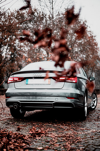 Audi, Cars, Leaf Fall, Fall, Back View, Rear View, Silver, Silvery, Audi A3 HD phone wallpaper