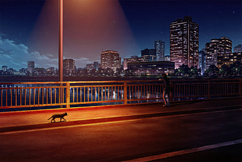 Midnight Cat On The Bridge, cat, bridge, light, sky, cityscape, buildings, building, artist, artwork, art, digital-art, pixiv HD wallpaper