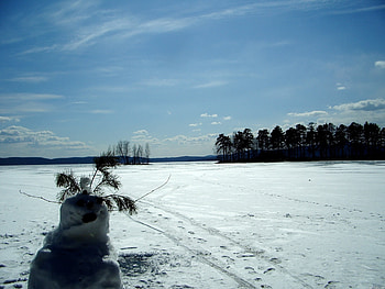 Nature, Trees, Snowman, Field, Traces HD wallpaper
