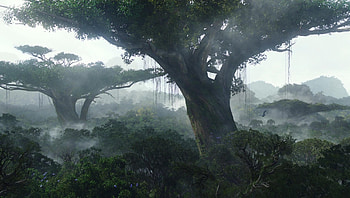 Avatar (2022) movie HD wallpaper
