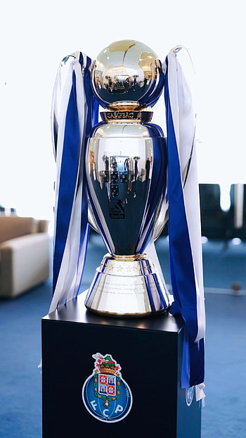 F.C.Porto Campeão 2022, porto, ultradragoes, fcp, porto2022, campeoes2022, superdragoes, fcporto, invicta HD phone wallpaper