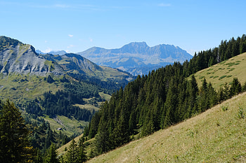 Landscape, Nature, Trees, Mountains, Forest, Hills HD wallpaper