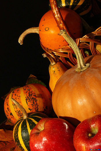Autumn vitamins , Fall leaves, Healthy, Natural HD phone wallpaper