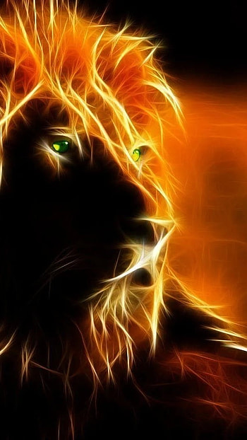 Fire Lion, Lion Face, fire HD phone wallpaper