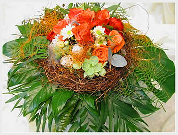 Spring & Easter, green, colors, flowers, spring, eggs, nest HD wallpaper