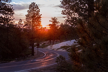 Nature, Trees, Sunset, Shine, Light, Road, Turn HD wallpaper