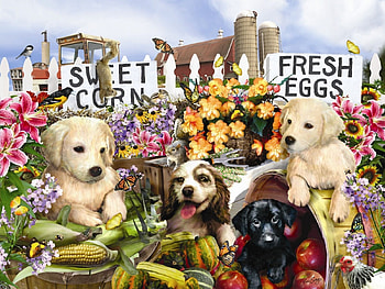 Puppies on the Farm, artwork, dogs, flowers, fence, painting HD wallpaper